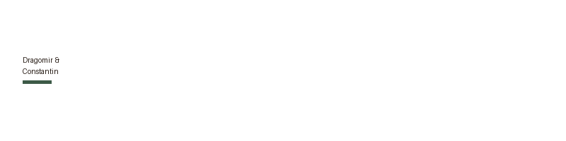 Dragomir & Constantin logo